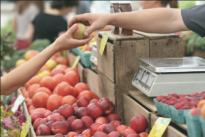 A picture of someone buying a peach at a grocery store to introduce the section, "Building Core Skills Through Real-World Applications